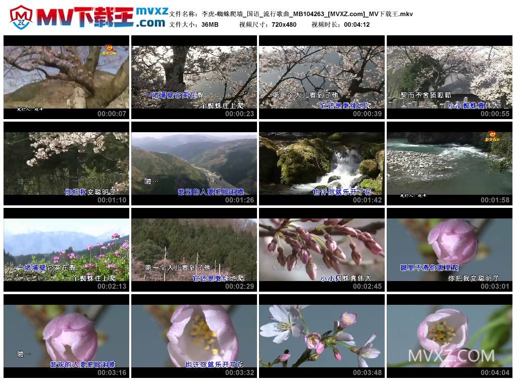 李虎-蜘蛛爬墙_国语_流行歌曲_MB104263